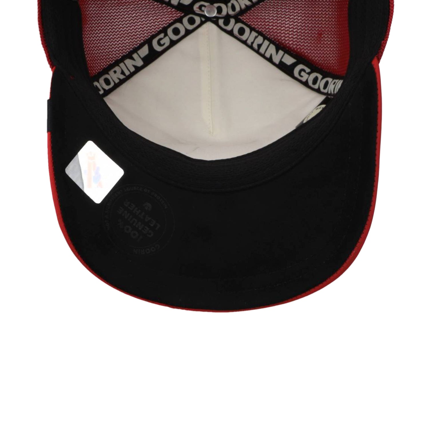 Trucker 101-2226 Lfg Raging Bull