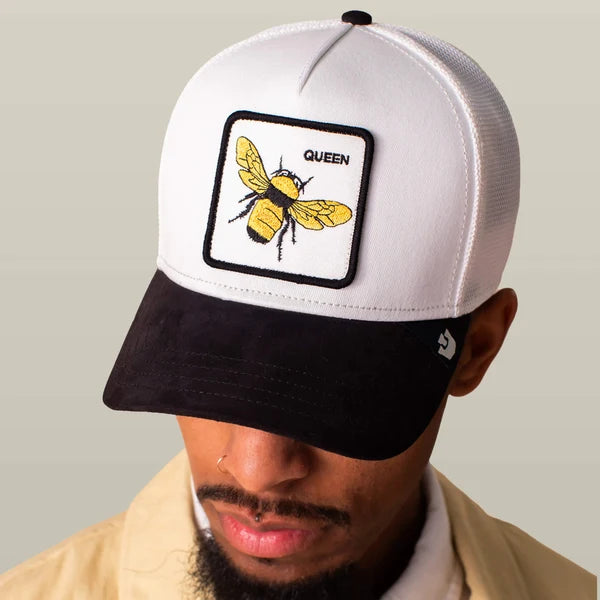Gorra GB Suede Bee 101-2962