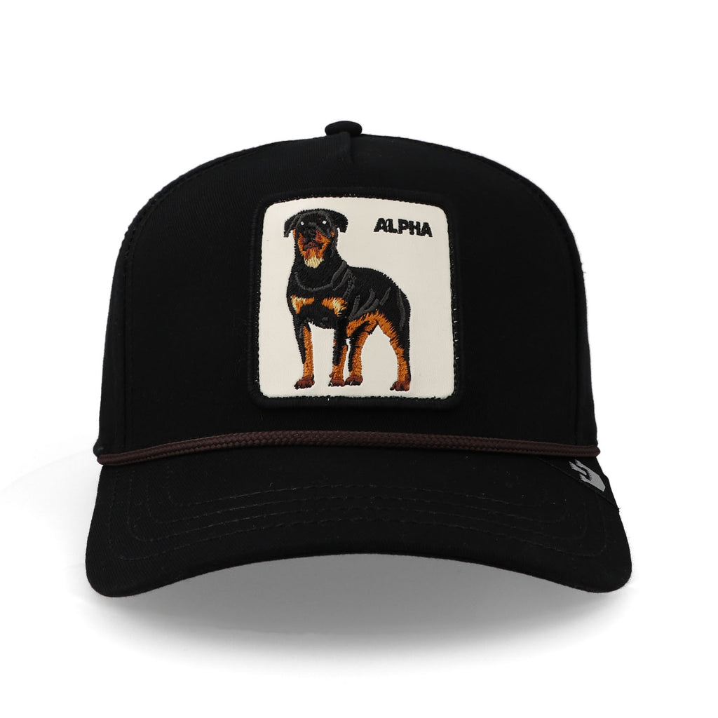 Gorra 101-1133 Alpha Dog 100 Negro