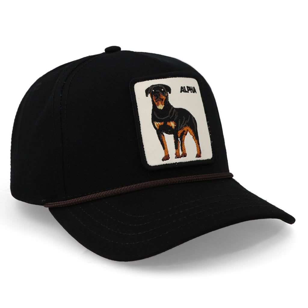 Gorra 101-1133 Alpha Dog 100 Negro