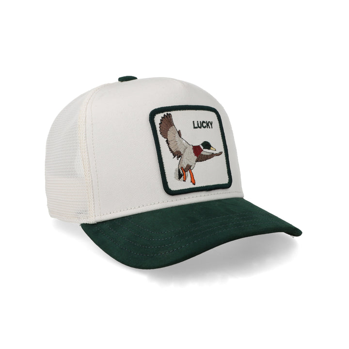 Gorra GB Suede Duck 101-2970