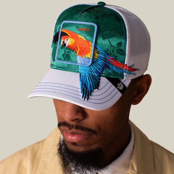 Gorra Goorin Honduras Macaw 101-2706