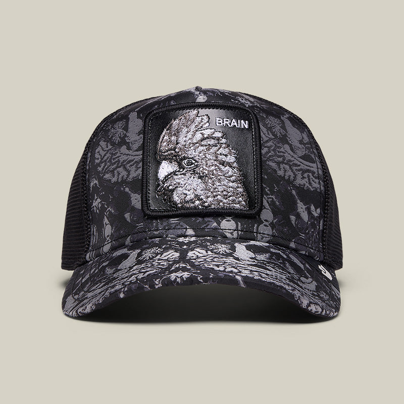 GRAY MATTER